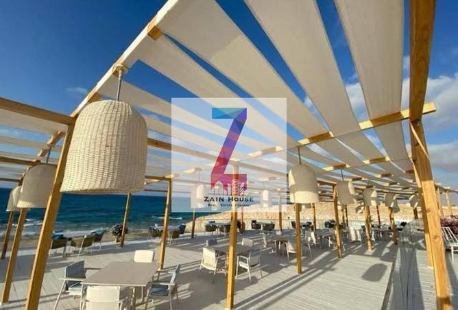 58498796 - Property Image 2