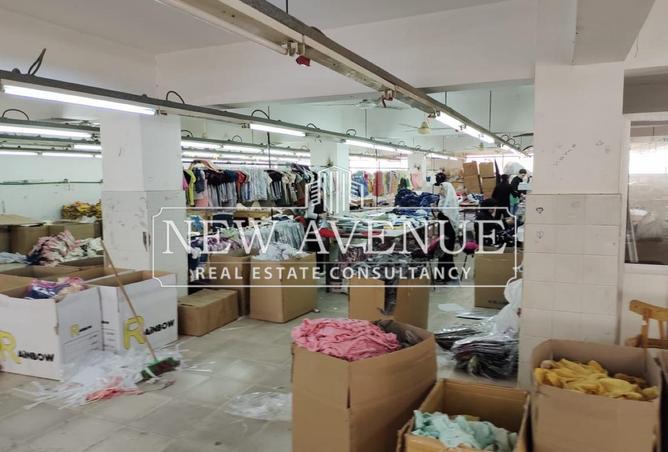 53730907 - Property Image 3