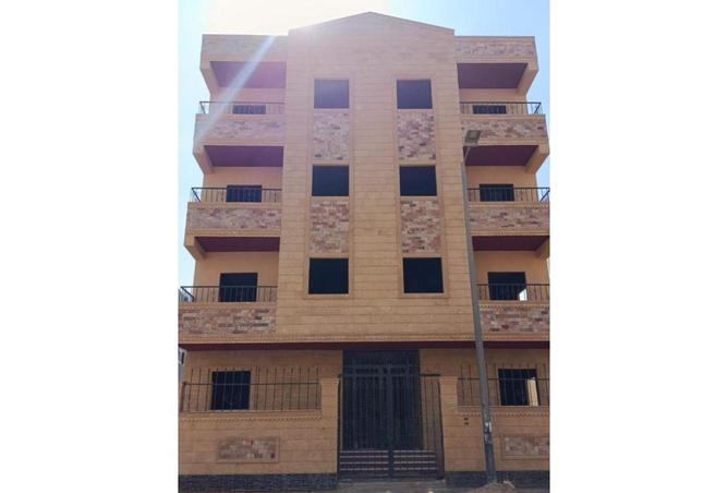 56004550 - Property Image 2