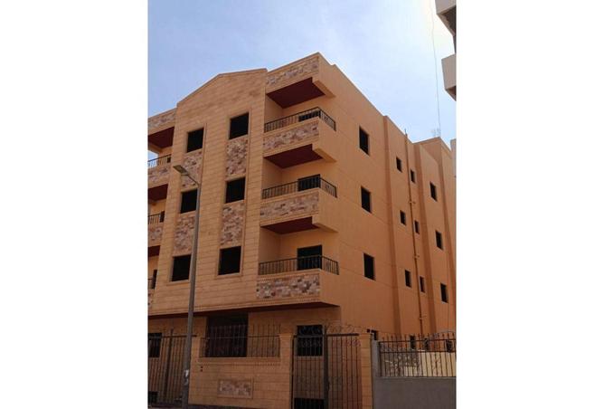 56004550 - Property Image 3