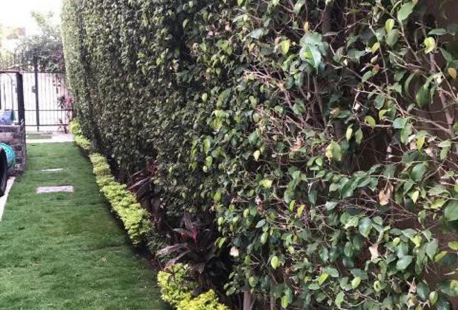 56504932 - الصورة الرئيسية للعقار