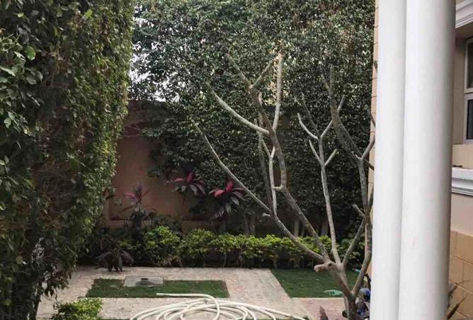 56504932 - صورة العقار 3