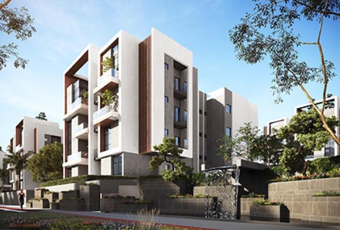 66950175 - Property Image 3