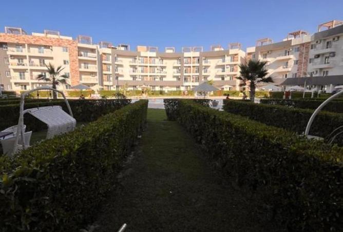 55497999 - صورة العقار 3