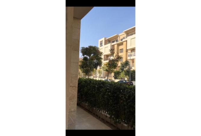 65915359 - Property Image 3