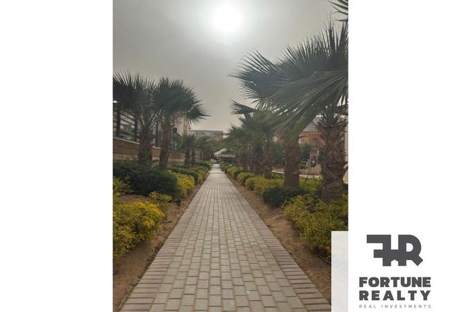 58981969 - Property Image 3