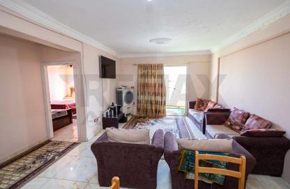 Apartment - 3 Bedrooms - 1 Bathroom for rent in Shaarawy St. - Laurent - Hay Sharq - Alexandria Apartment - 3 Bedrooms - 1 Bathroom for rent in Shaarawy St. - Laurent - Hay Sharq - Alexandria