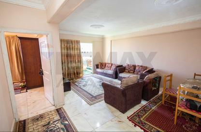 Apartment - 3 Bedrooms - 1 Bathroom for rent in Shaarawy St. - Laurent - Hay Sharq - Alexandria Apartment - 3 Bedrooms - 1 Bathroom for rent in Shaarawy St. - Laurent - Hay Sharq - Alexandria