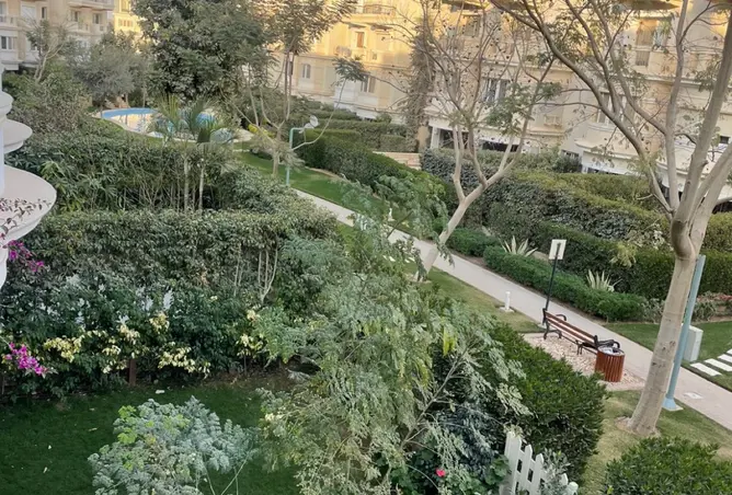 109905480 - صورة العقار 2