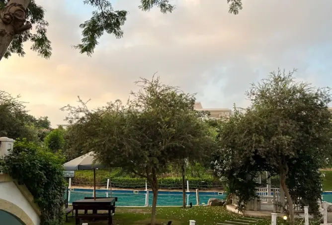 109905480 - صورة العقار 3