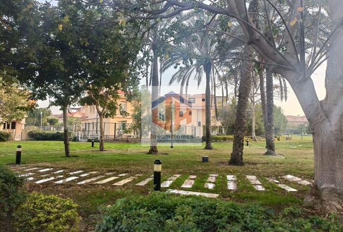 57488597 - Property Image 3