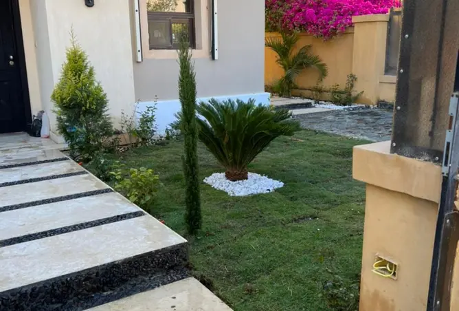 113262636 - صورة العقار 2