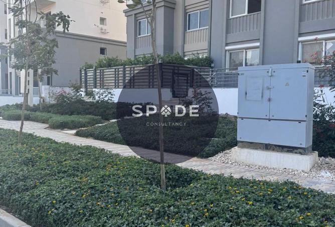 8679399 - Property Image 3