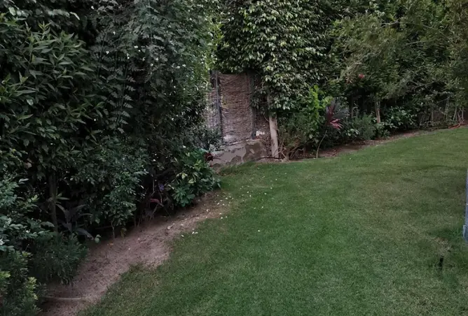 117538899 - صورة العقار 2