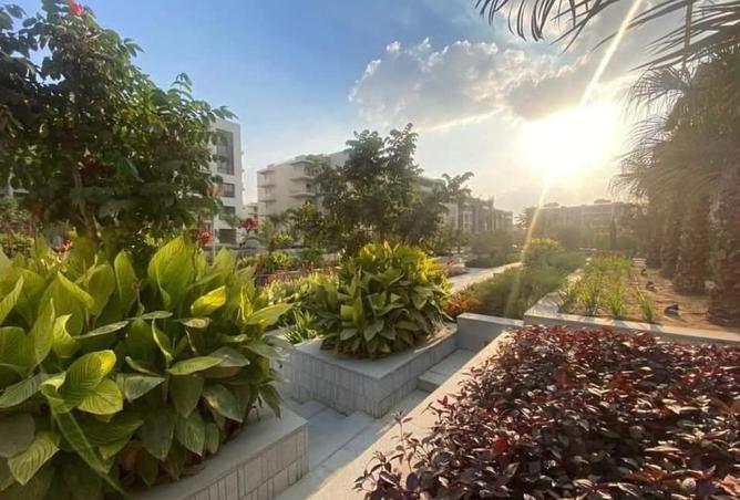 67994450 - صورة العقار 3