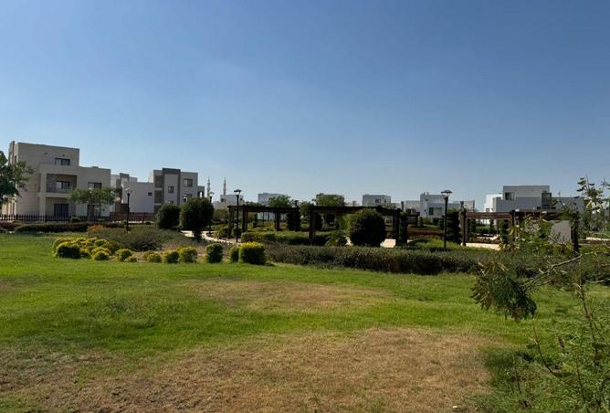 53990259 - صورة العقار 2