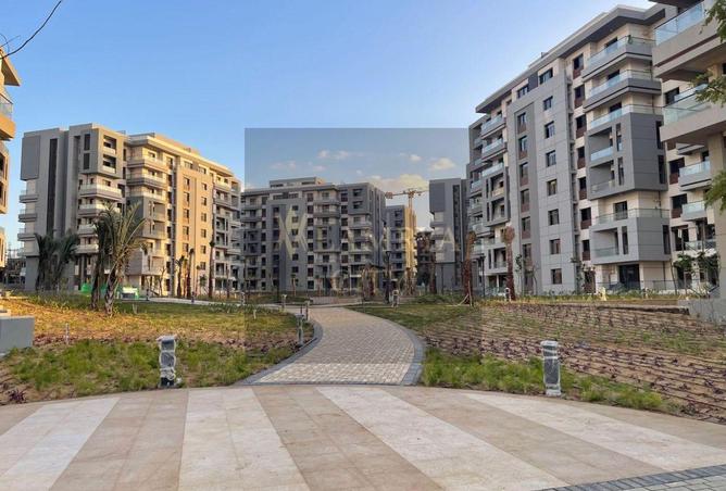 55757246 - Property Image 3