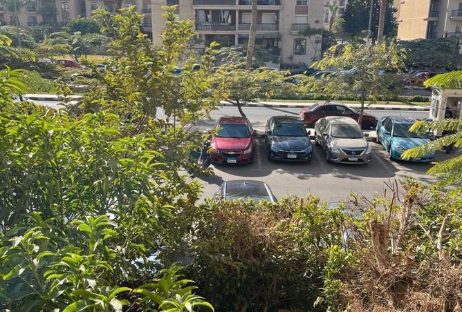 8592937 - Property Image 2