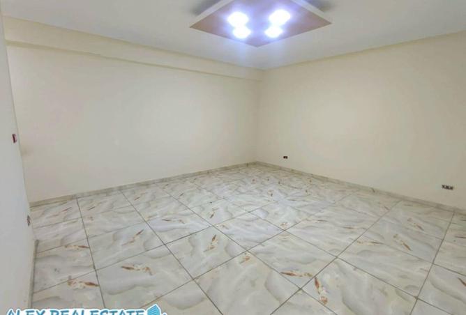 65147453 - Property Image 2