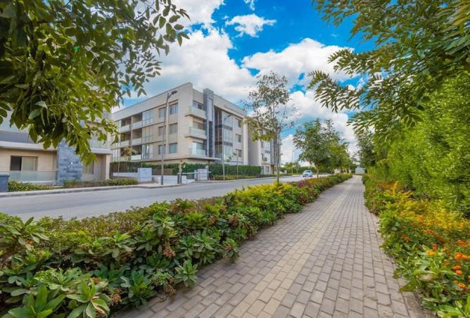 8504817 - Property Image 3