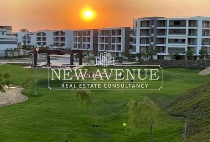 61687982 - صورة العقار 3