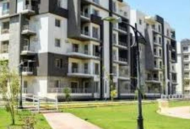 8479784 - Property Image 2