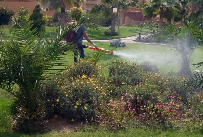 8644342 - صورة العقار 2