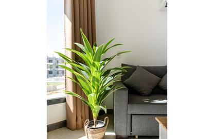 Chalet - Studio - 1 Bathroom for sale in Matarma Beach Residence - Raas Matarma - Ras Sedr - South Sainai