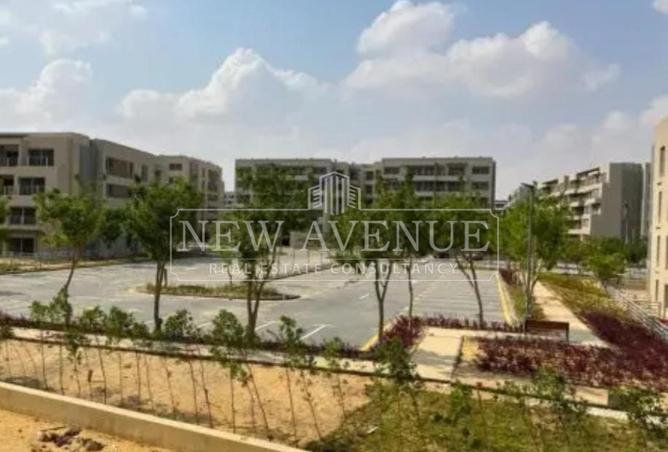 97133852 - Property Image 3
