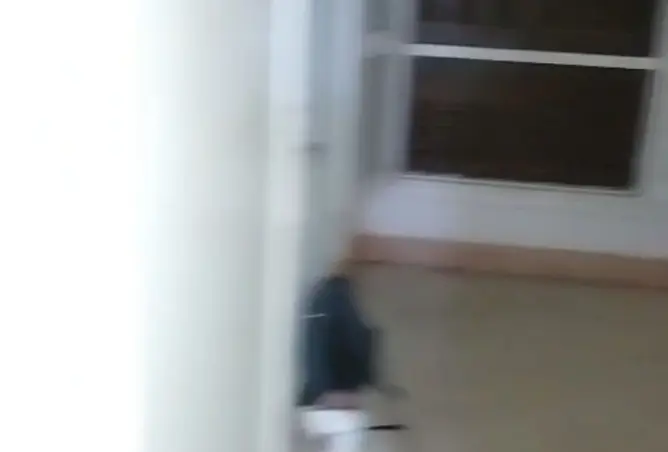111873956 - صورة العقار 2