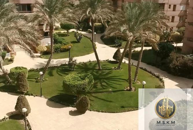 61437604 - الصورة الرئيسية للعقار