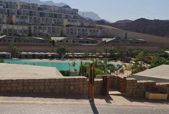 53987441 - Property Image 3