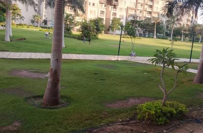 Apartment - 3 Bedrooms - 2 Bathrooms for rent in B12 - Madinaty - Cairo