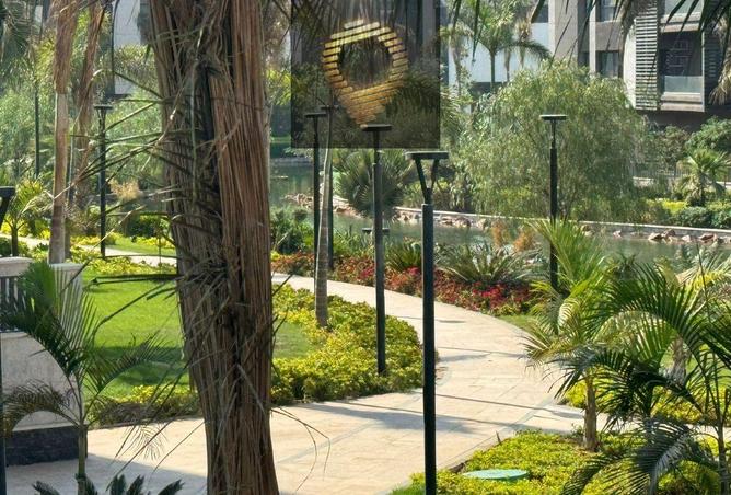 53986881 - صورة العقار 3