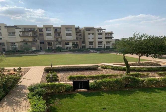 53719571 - صورة العقار 3