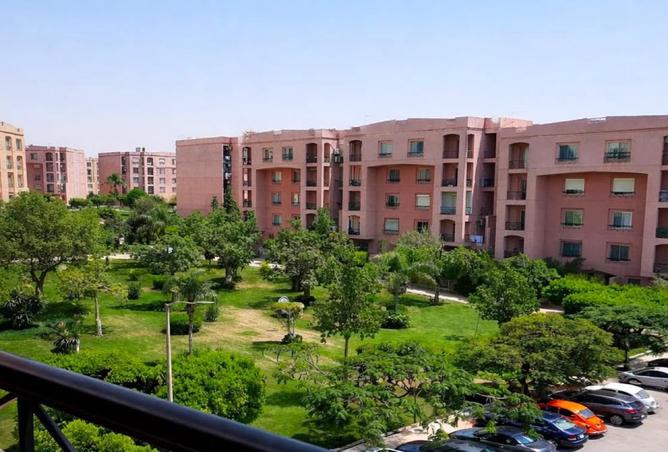 97151254 - Property Image 3