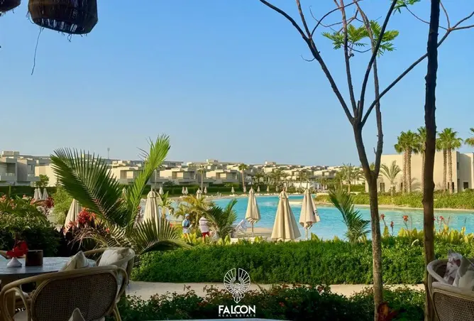 117276737 - Property Image 3