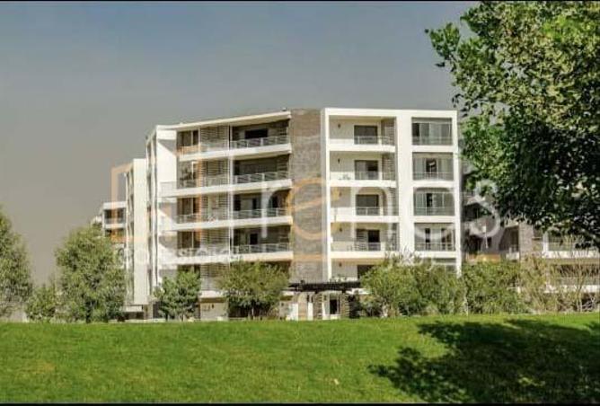 58895640 - Property Image 2