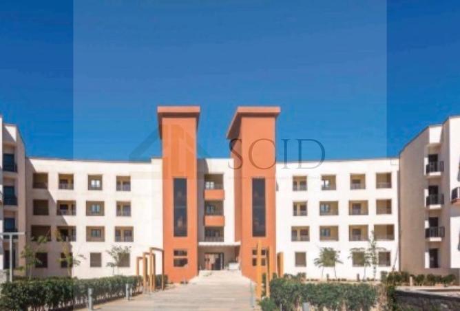 69579992 - Property Image 3