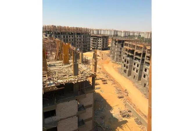116226982 - Property Image 3