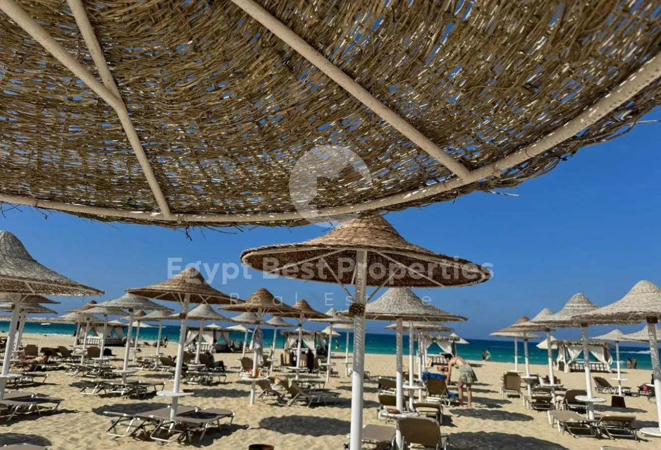 119333629 - Property Main Image