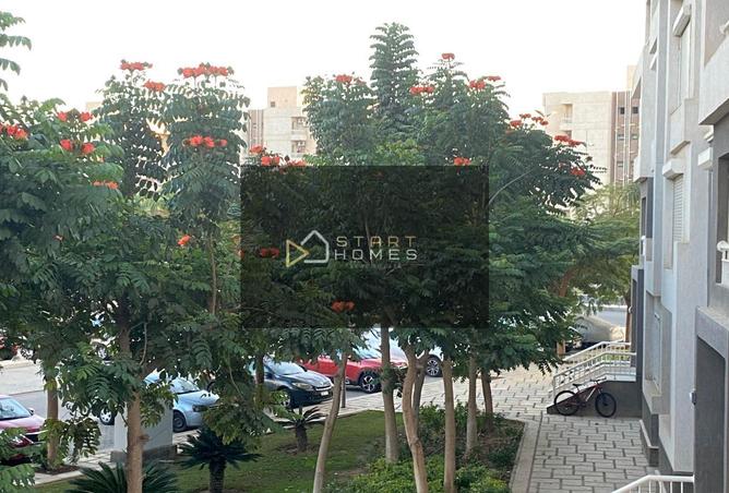 54502823 - Property Main Image