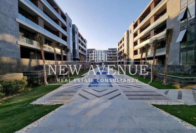 53982392 - صورة العقار 2