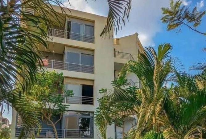 62410556 - Property Image 3