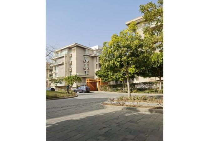 8589566 - Property Image 3