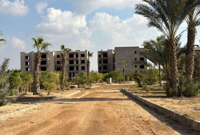 52198914 - صورة العقار 3