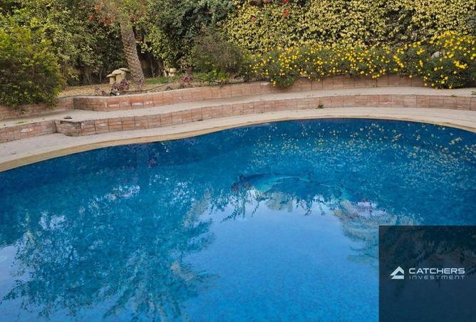 66694247 - صورة العقار 3