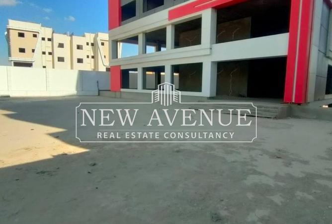 61437353 - Property Image 3