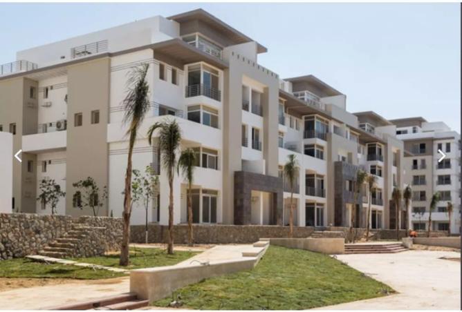 8486905 - Property Image 2