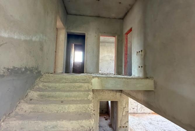 101495490 - صورة العقار 3